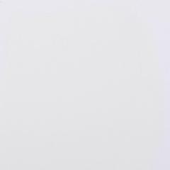 Vopsea acrilica - Alb de titaniu