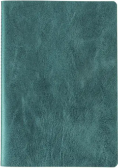 Set 2 caiete A5 - Ginkgo