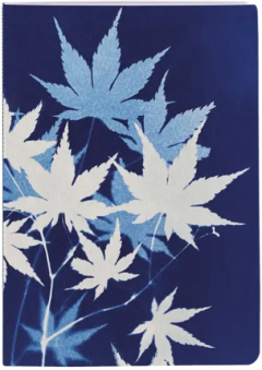 Caiet A6 Lined - Cyanotype - mai multe modele