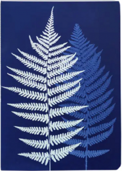 Caiet A6 Lined - Cyanotype - mai multe modele