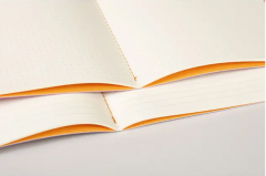 Caiet A5 Lined - Rhodia - Turquoise