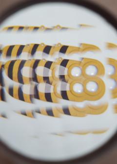 Caleidoscop - Insect Eye Bee