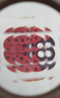 Caleidoscop - Insect Eye Ladybug