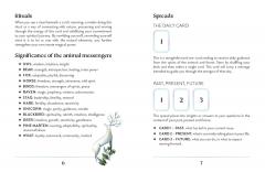 Enchanted Earth Oracle