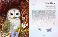 Enchanted Earth Oracle