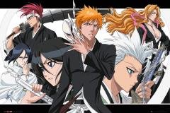  Poster - Bleach Collage Landscape