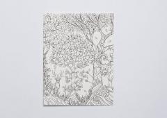 Carte postala pentru colorat - Enchanted Forest - mai multe modele