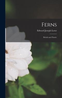 Coperta cărții Ferns