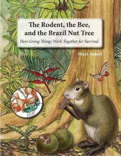 Coperta cărții Rodent, the Bee, and the Brazil Nut Tree