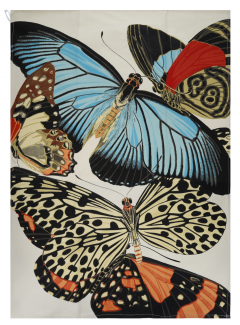 Prosop de bucatarie - Encyclopedia Papillons Bleu