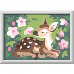 Set pictura pe numere - Pui de caprioara si flori