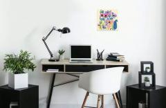 Set pictura pe numere - Maci colorati