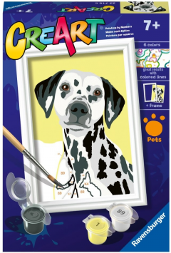 Set pictura pe numere - Caine dalmatian