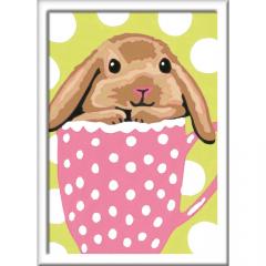 Set pictura pe numere - Iepuras in cana
