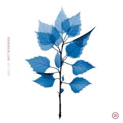 Get Sunk - Vinyl (33 RPM)