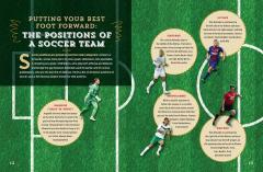 The Totally Awesome World of Cristiano Ronaldo