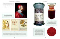 The Wonder Cabinet of Fabulous Insects