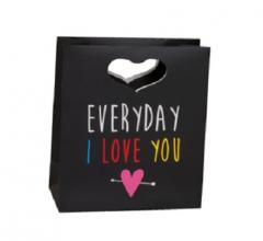 Punga pentru cadouri - Everyday I Love You