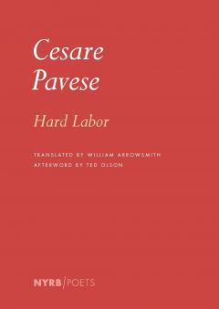 Coperta cărții Hard Labor