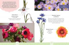 Beautiful Botanicals Pressed Flower Crafts Kit