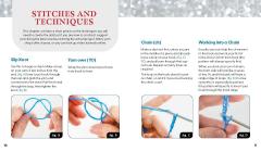 Unofficial Beyonce Book and Crochet Kit