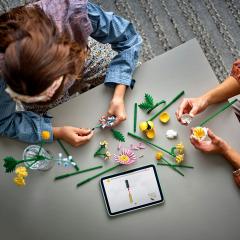 LEGO Botanicals - Mic buchet luminos (10347)