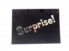 Punga pentru cadou - Surprise