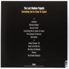 Everything You've Come to Expect (Deluxe) - Vinyl