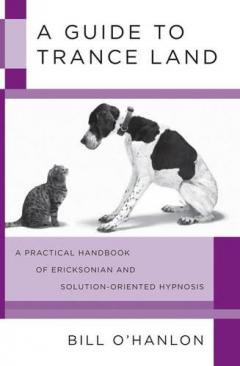 Coperta cărții Guide to Trance Land