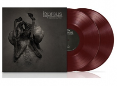 The Congregation (10th Anniversary) - Vinyl