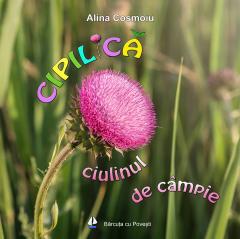 Cipilica, ciulinul de campie