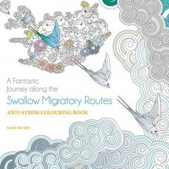 Swallows Migratory Routes Colouring Book 