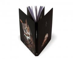 Carnet - Night Owl Princeton Architectural Press