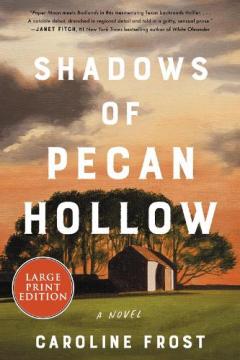 Coperta cărții Shadows Of Pecan Hollow: A Novel [Large Print]