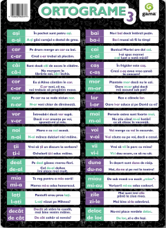 Poster - Ortograme 3