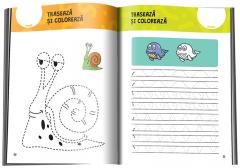 Fise de lucru cu grafisme