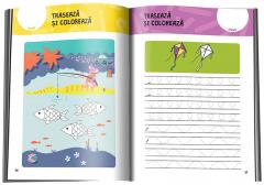 Fise de lucru cu grafisme