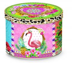 Cana - Fancy Flamingo Nuova R2S
