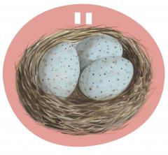 Ghirlande - Lucky Day