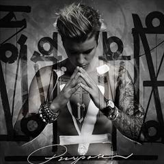 Purpose  - Vinyl