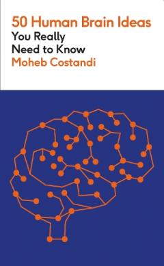 Coperta cărții 50 Human Brain Ideas You Really Need to Know