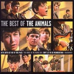 The Best Of The Animals