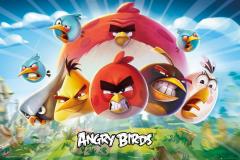 Poster - Angry Birds Key Art | GB Eye