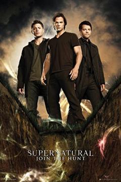 Poster - Group Supernatural