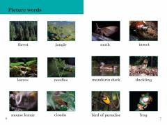 BBC Earth: Forests - Ladybird Readers Level 4