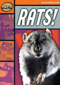 Coperta cărții Rapid Stage 4 Set B: Rats! (Series 1)