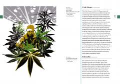 The Cannabis Dictionary