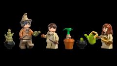 LEGO Harry Potter - Hogwarts Castle Herbology Class (76445)