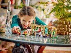 LEGO Harry Potter - Hogwarts Castle Herbology Class (76445)