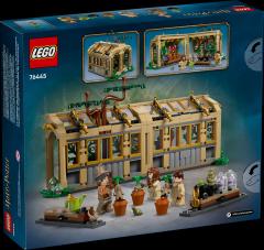 LEGO Harry Potter - Hogwarts Castle Herbology Class (76445)